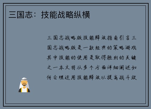 三国志：技能战略纵横